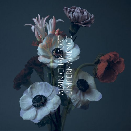Alain Chamfort - L'impermanence 2024