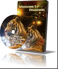 Windows Se7en ® Diamond 64Bit